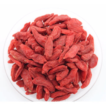 Weight Loss Fruit--Ningxia Wolfberry (Goji berries)